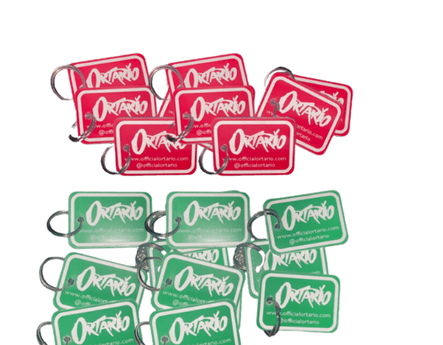 Ortario Key Ring